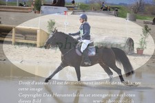 ref. photo 3081539