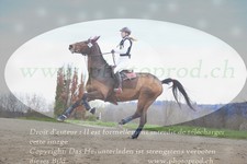 ref. photo 3081606