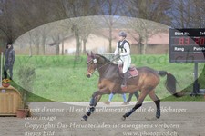 ref. photo 3081608