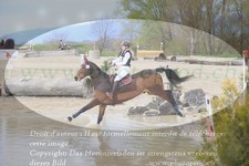 ref. photo 3081611