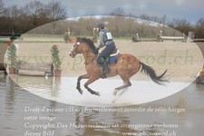 ref. photo 3081634