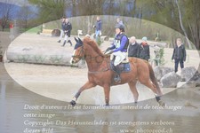ref. photo 3081665
