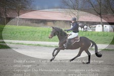 ref. photo 3081681