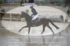 ref. photo 3081684