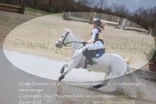 ref. photo 3081712