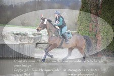 ref. photo 3081716