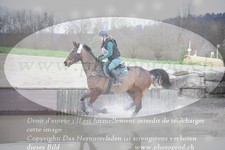ref. photo 3081717