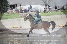 ref. photo 3081718