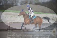 ref. photo 3081732