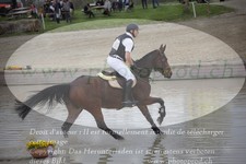 ref. photo 3081760