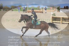 ref. photo 3081796