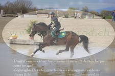 ref. photo 3081797