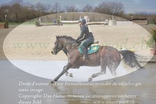 ref. photo 3081804