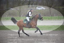ref. photo 3081813