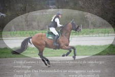 ref. photo 3081814