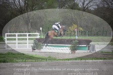 ref. photo 3081823