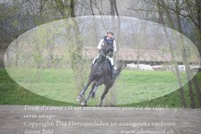 ref. photo 3081825