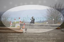 ref. photo 3081831
