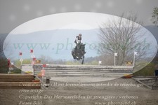 ref. photo 3081832