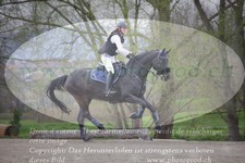 ref. photo 3081835