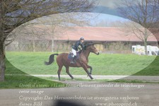 ref. photo 3081843