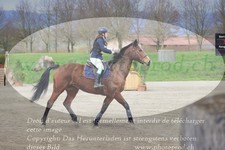 ref. photo 3081852