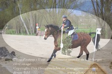 ref. photo 3081854