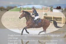 ref. photo 3081857