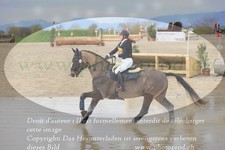 ref. photo 3081904
