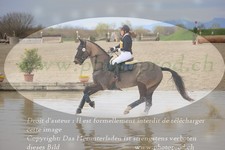 ref. photo 3081905