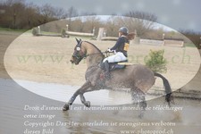 ref. photo 3081915