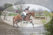 ref. photo 3081925