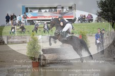 ref. photo 3081955