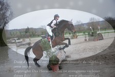 ref. photo 3082011
