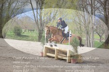 ref. photo 3082037