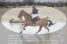 ref. photo 3082039