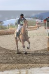 ref. photo 3082044