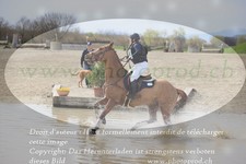 ref. photo 3082047