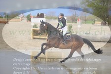 ref. photo 3082087