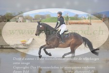 ref. photo 3082088
