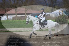 ref. photo 3082114