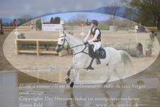 ref. photo 3082117