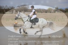 ref. photo 3082119
