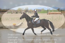 ref. photo 3082134