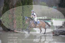 ref. photo 3082144