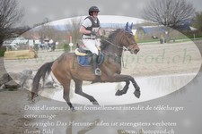 ref. photo 3082152