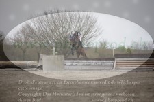 ref. photo 3082156