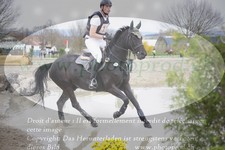 ref. photo 3082168