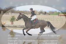 ref. photo 3082197