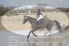 ref. photo 3082205